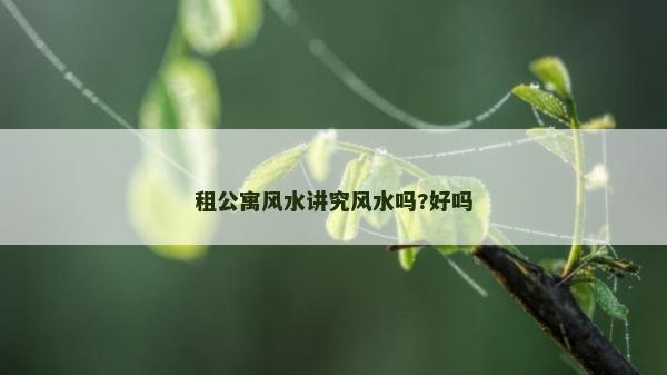 租公寓風(fēng)水講究風(fēng)水嗎?好嗎