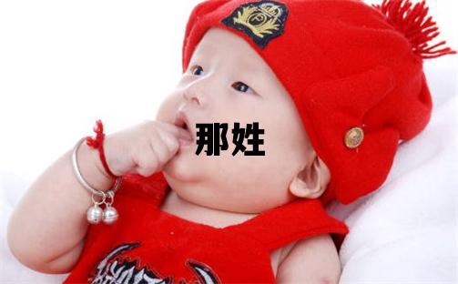 那姓取名大氣文雅的男寶寶名字
