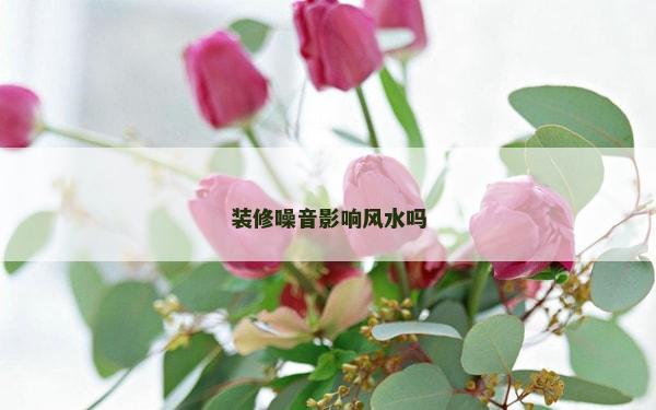 裝修噪音影響風水嗎 裝修噪音影響風水嗎
