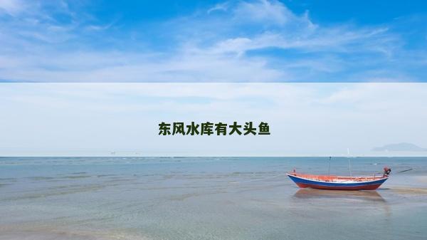 東風(fēng)水庫(kù)有大頭魚(yú)