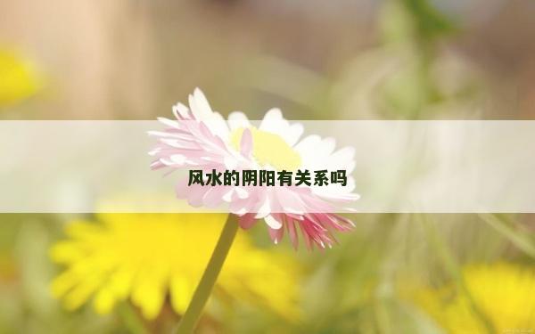 風水的陰陽有關系嗎