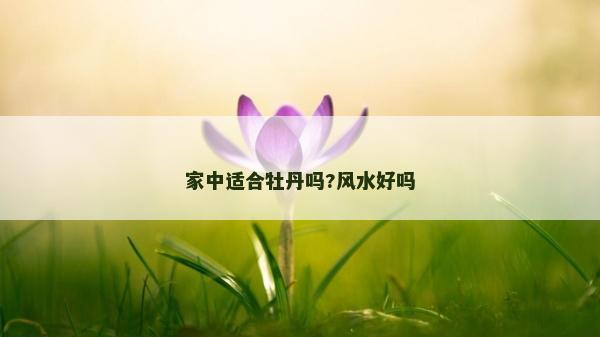 家中適合牡丹嗎?風水好嗎