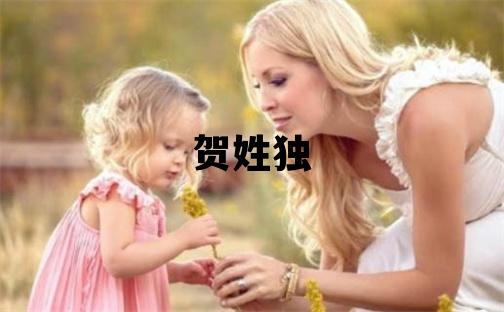 賀姓獨特優(yōu)美的女孩名字,取什么名字好