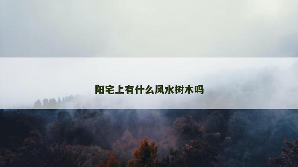 陽宅上有什么風水樹木嗎
