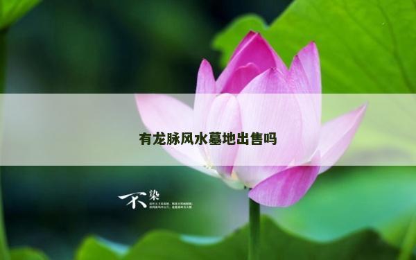 有龍脈風水墓地出售嗎