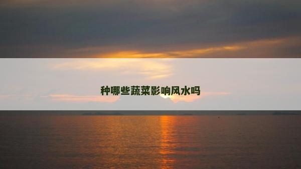 種哪些蔬菜影響風(fēng)水嗎