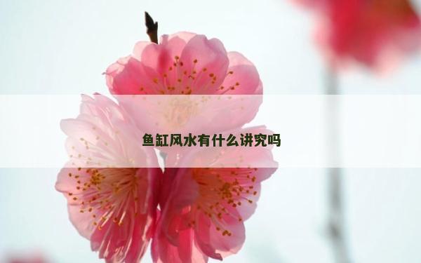 魚缸風水有什么講究嗎