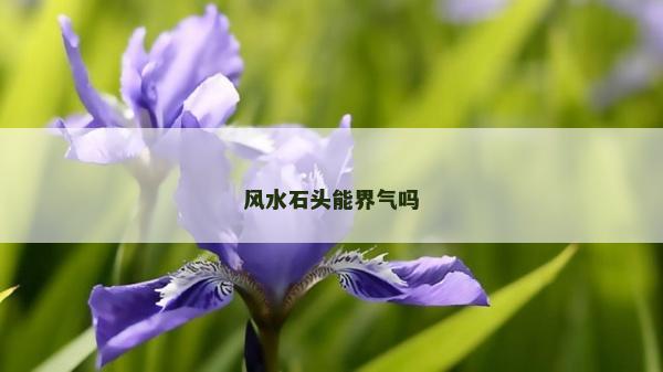 風(fēng)水石頭能界氣嗎