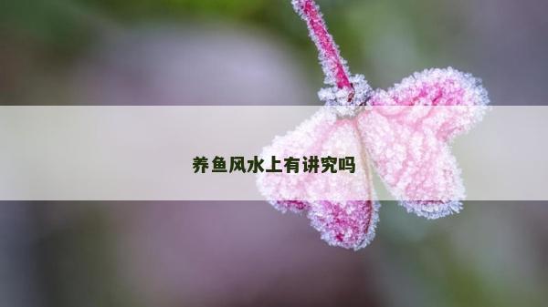養魚風水上有講究嗎