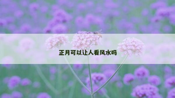 正月可以讓人看風水嗎