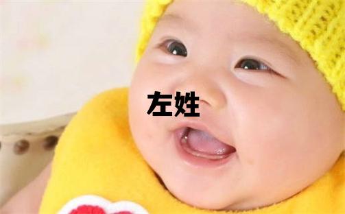 左姓優(yōu)美的男孩名字