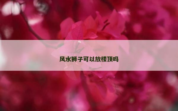 風水獅子可以放樓頂嗎