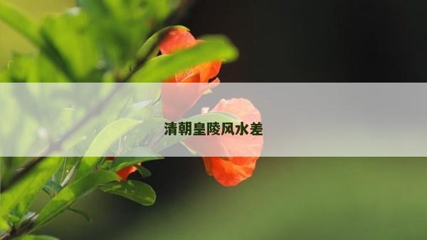 清朝皇陵風水差