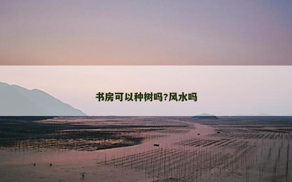 書房可以種樹嗎?風(fēng)水嗎