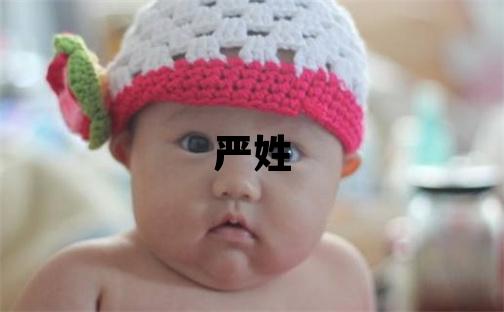 嚴姓有涵養(yǎng)的男孩名字,取什么名字好