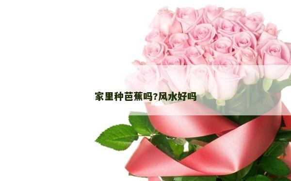 家里種芭蕉嗎?風水好嗎