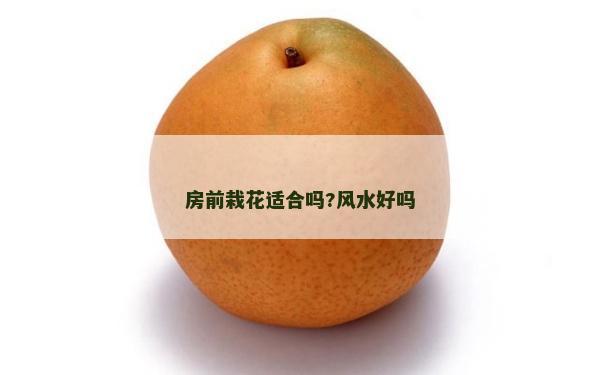 房前栽花適合嗎?風(fēng)水好嗎