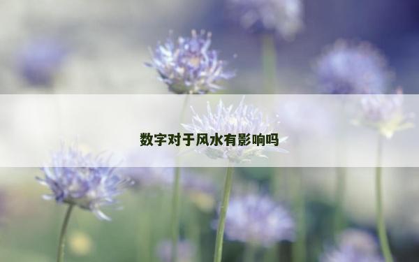 數(shù)字對(duì)于風(fēng)水有影響嗎