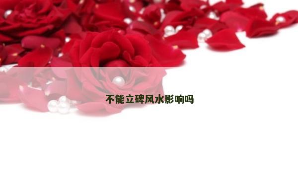 不能立碑風水影響嗎