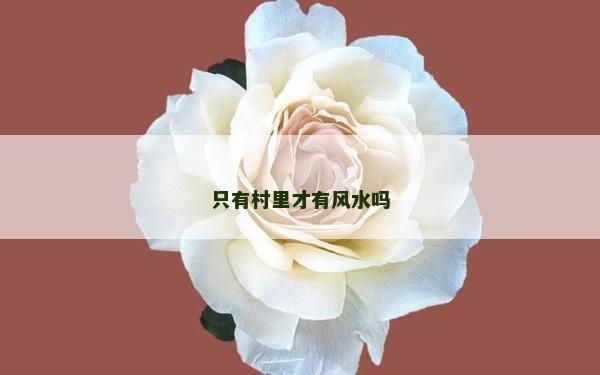 只有村里才有風水嗎