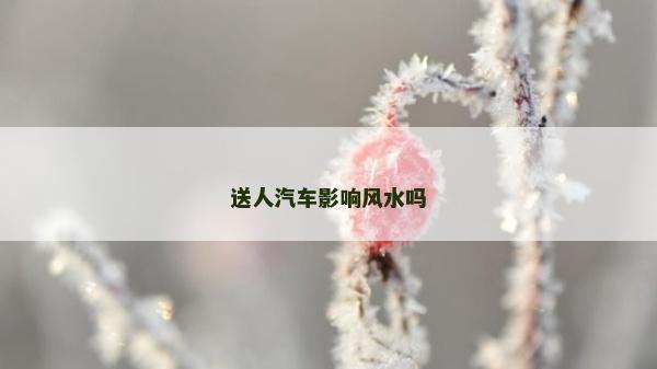 送人汽車影響風水嗎 送人汽車影響風水嗎