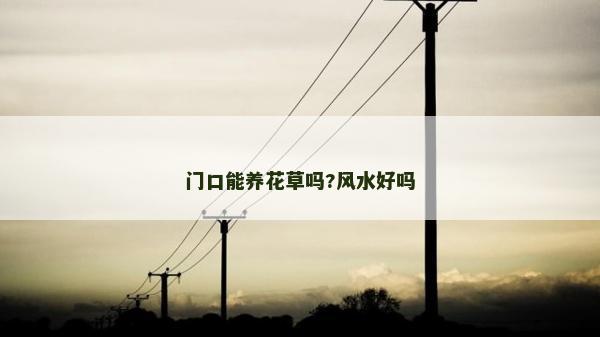 門口能養花草嗎?風水好嗎