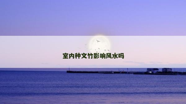 室內(nèi)種文竹影響風(fēng)水嗎