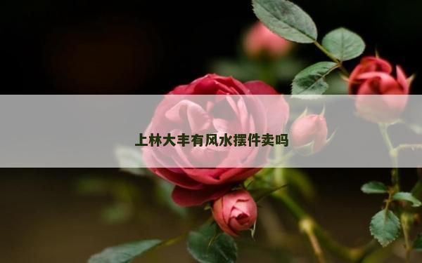 上林大豐有風水擺件賣嗎 上林大豐有風水擺件賣嗎