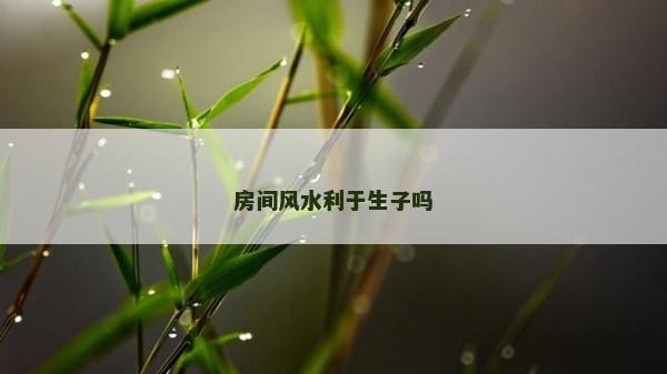 房間風水利于生子嗎