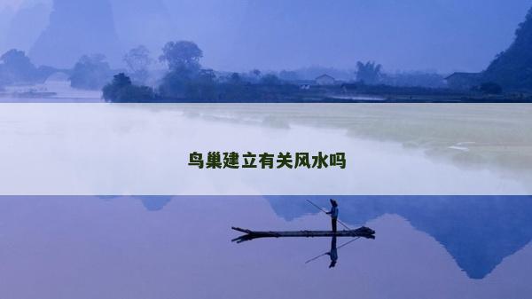 鳥巢建立有關風水嗎