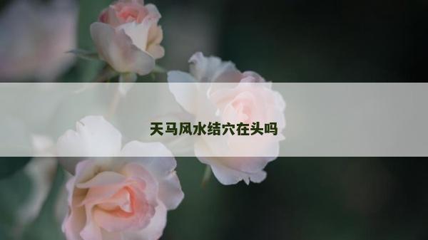 天馬風水結穴在頭嗎