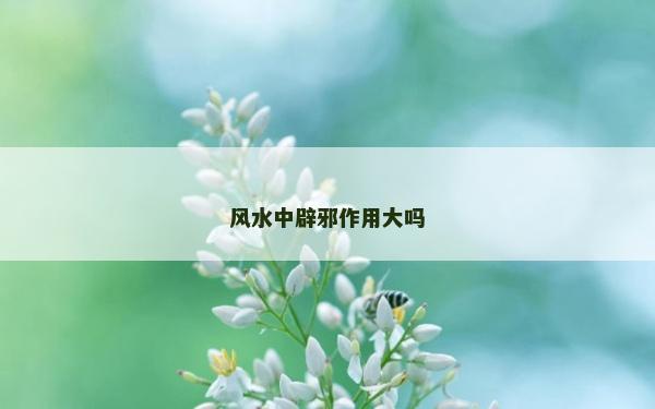 風水中辟邪作用大嗎 風水中辟邪作用大嗎