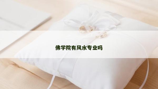 佛學院有風水專業嗎