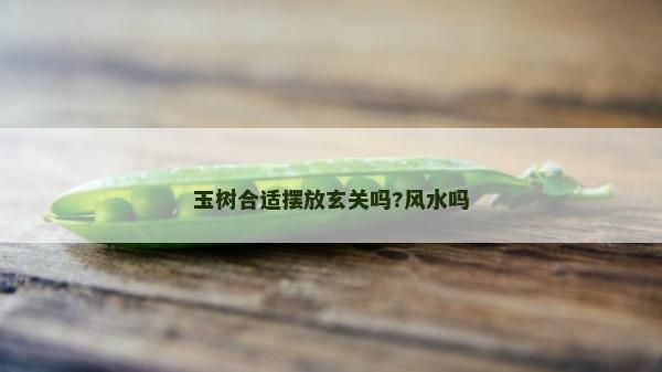 玉樹合適擺放玄關(guān)嗎?風(fēng)水嗎