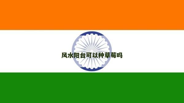 風(fēng)水陽臺可以種草莓嗎