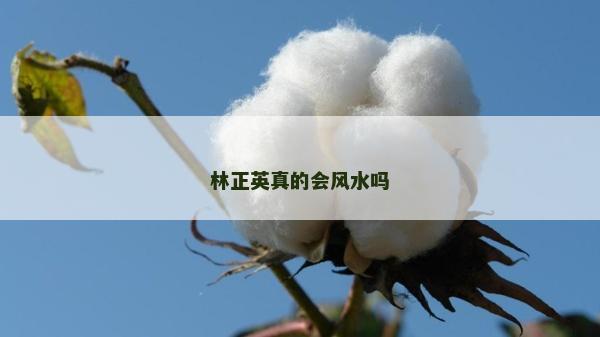 林正英真的會風水嗎 林正英真的會風水嗎