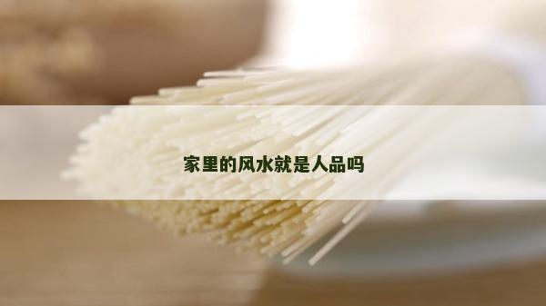 家里的風水就是人品嗎