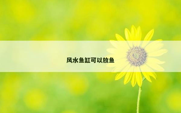 風(fēng)水魚缸可以放魚