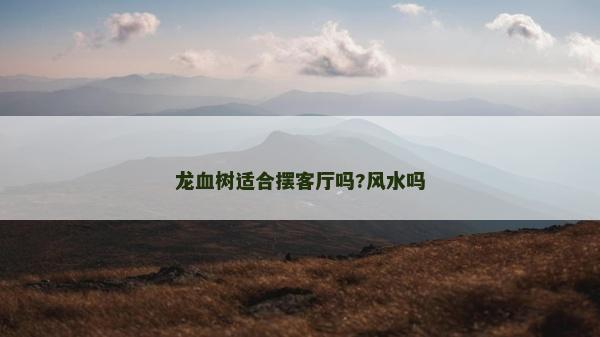 龍血樹適合擺客廳嗎?風水嗎