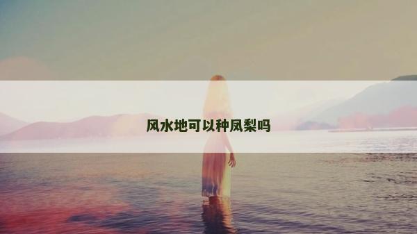 風水地可以種鳳梨嗎 風水地可以種鳳梨嗎