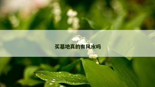 買墓地真的有風水嗎