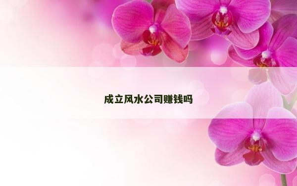 成立風水公司賺錢嗎