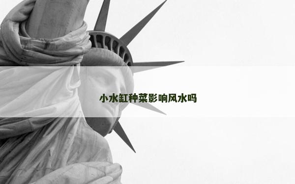 小水缸種菜影響風(fēng)水嗎