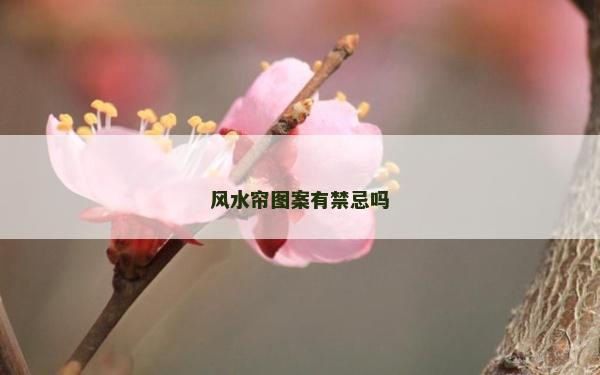 風(fēng)水簾圖案有禁忌嗎