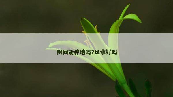 陰間能種地嗎?風水好嗎