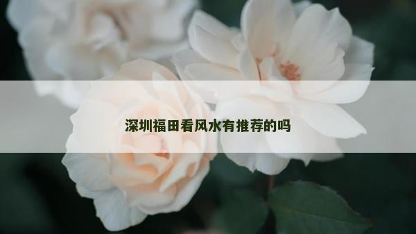 深圳福田看風水有推薦的嗎