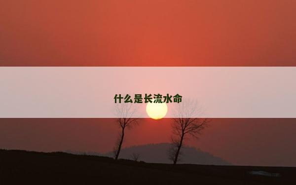 什么是長(zhǎng)流水命