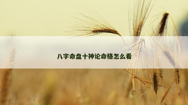 八字命盤十神論命格怎么看