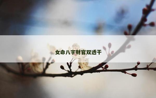 女命八字財(cái)官雙透干