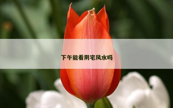 下午能看陰宅風(fēng)水嗎